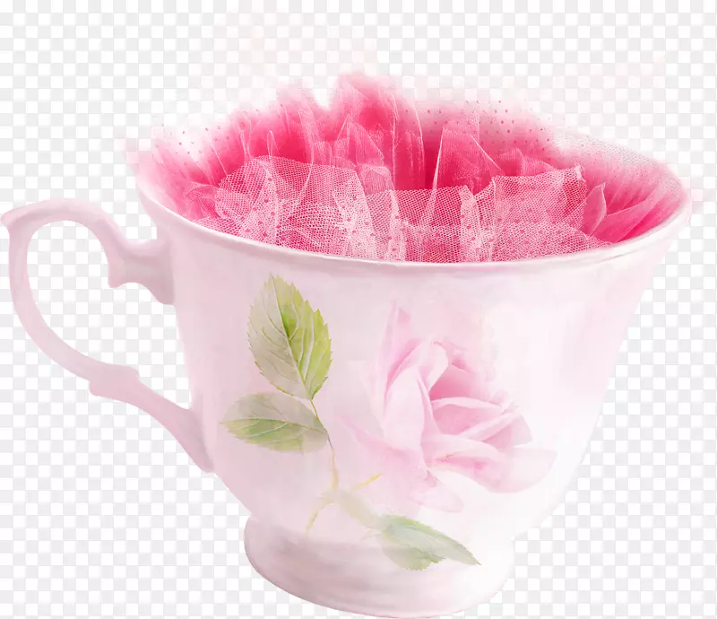 ���ȱ��豭Ũ����-������