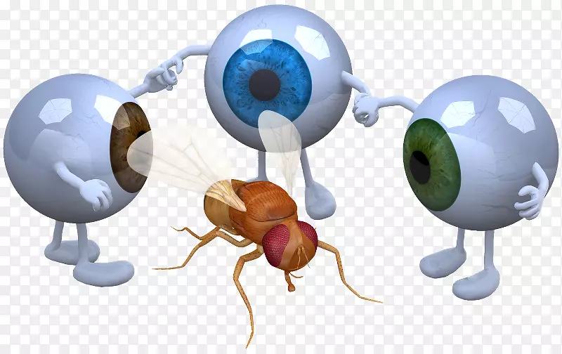 ��Ӱ�۾��ֱ�-�۾�-������