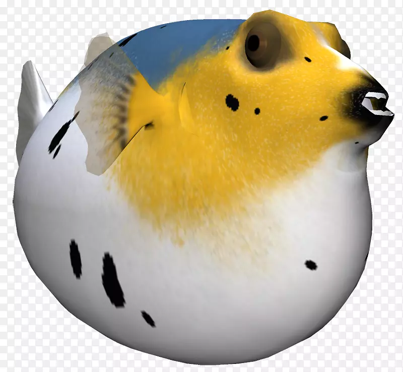 ������-bal?k-������