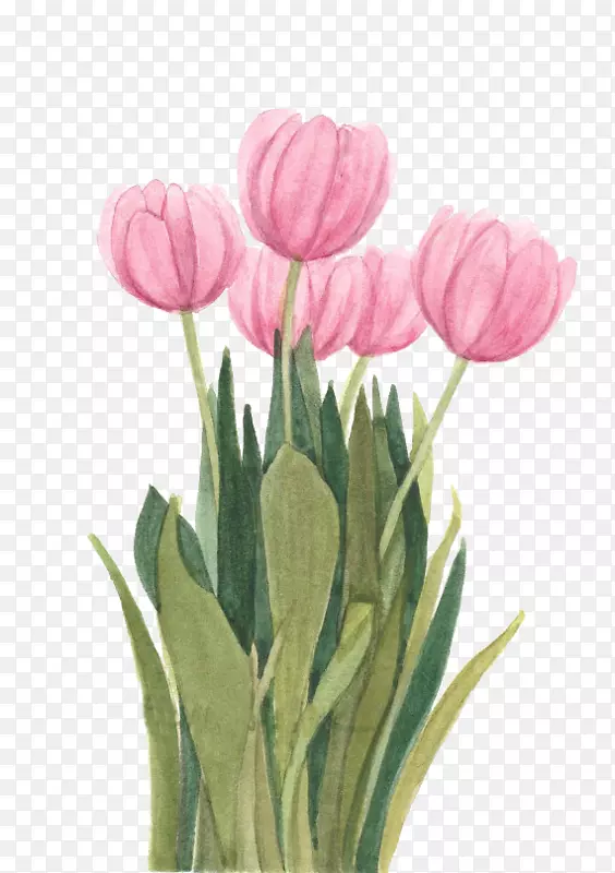 ������ˮ�ʻ��������������-������