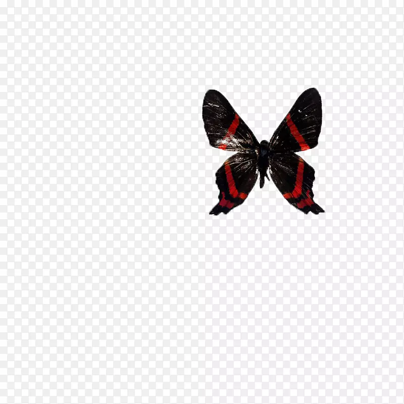 ����-���������棬�걾-������