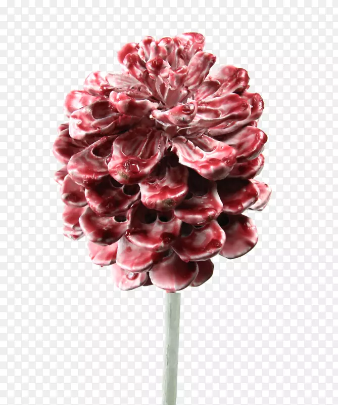 �л�õ�廨��õ��-������