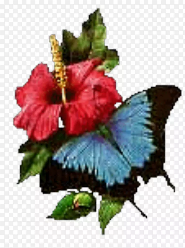 ������˹����������β��-������-������