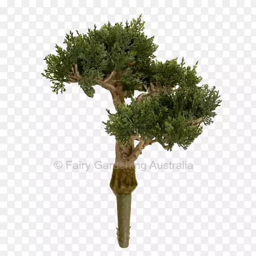 �辰����ֲ��̻�����.ֲ��-������