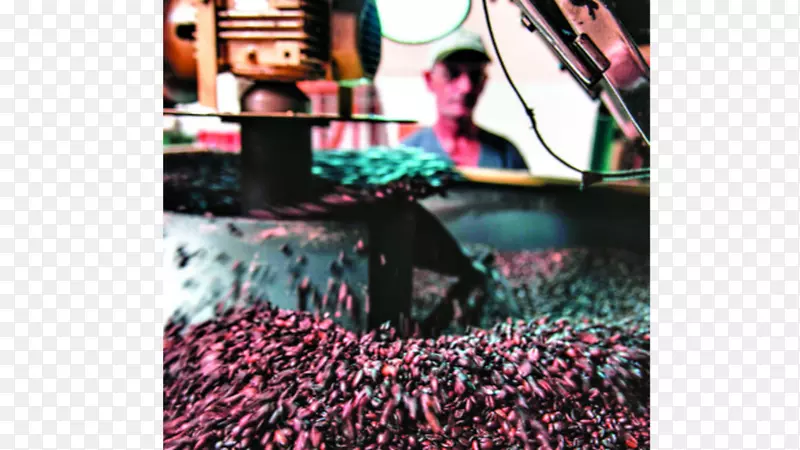 �ǵ�ͼƬ��Ӱ���������ȥå��ե���-����-������