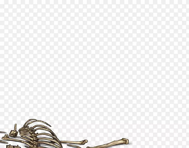 Ь���鱦����-������