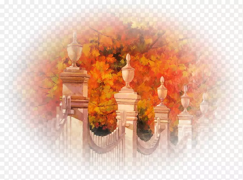 �ɻ�0506147919�����ֽ�ɻ�����-�ɻ�-������