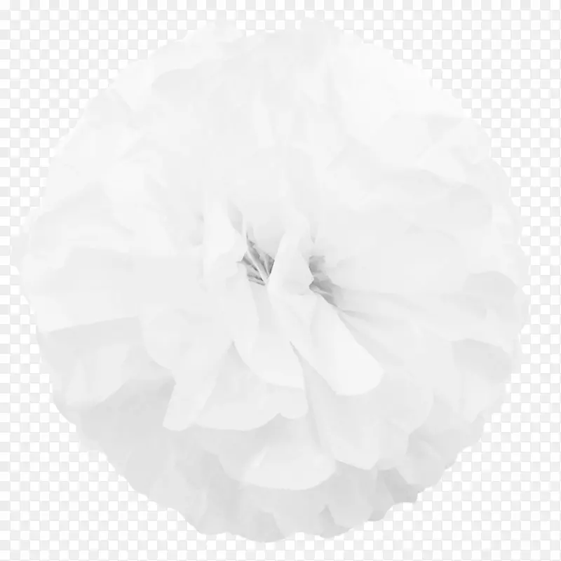 ��ֽ-������