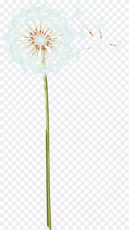 ����ͼ��-��ͨ�ѹ�Ӣ-������