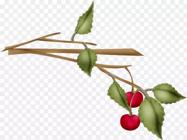 ��ӣ��õ��-������