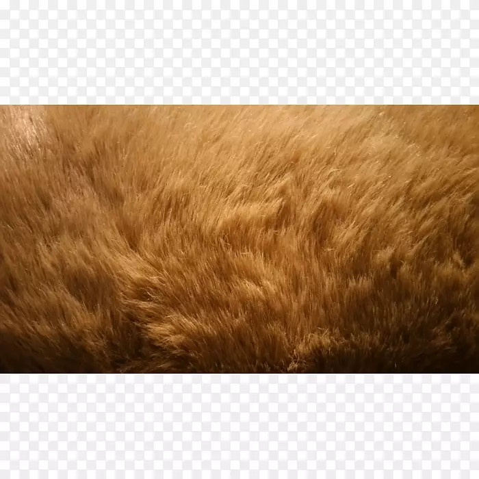 ëƤ�ݿ�-������