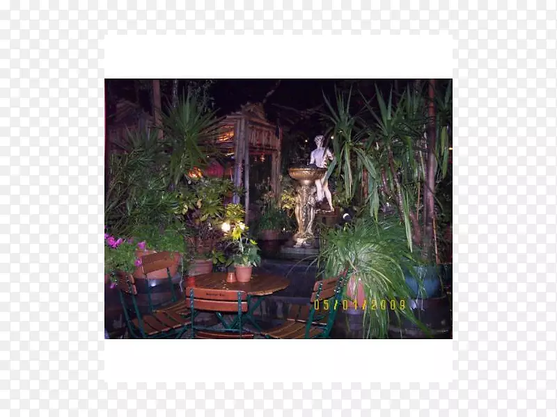 ������ֲ��-��-������