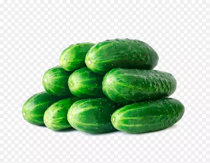 �ƹ������߲˱�ɳ�ƹ���Ƭ�߲�-������