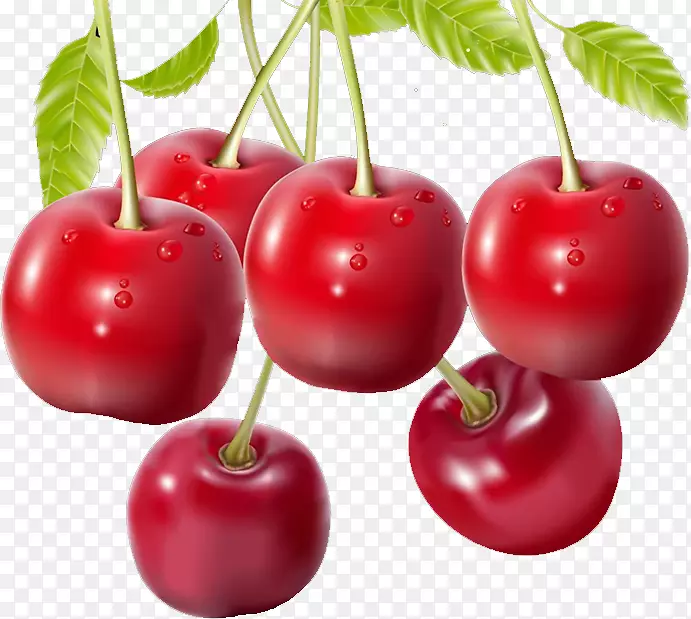 �ͰͶ�˹ӣ��-������