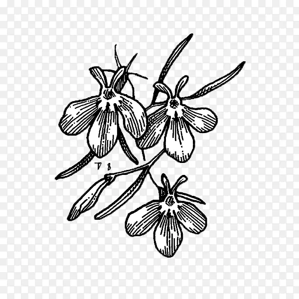 ���ƶԳ���/m/02csfͼ����-������