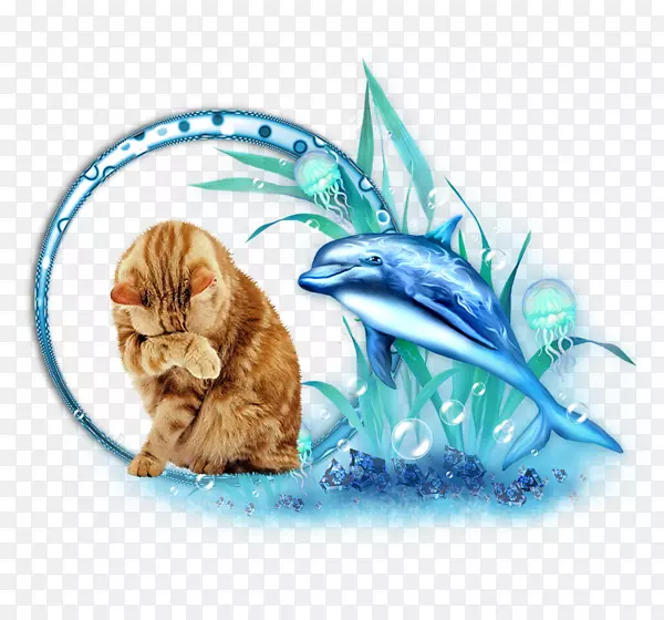 װ�α���Ӱ���������-����-������