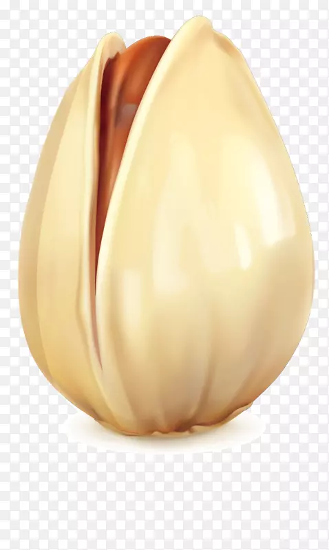 �ɹ�����.���Ĺ����ɵ�����-������