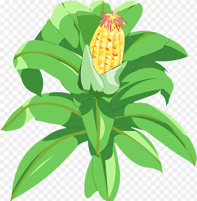 ���ײ���-����-������