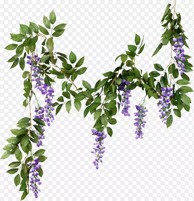 �л�����֦��-������