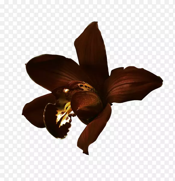 ��������ѹ������.��-������