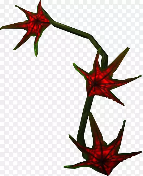 Сֲ֦�ﾥ����ֲ�������ֲ��-������