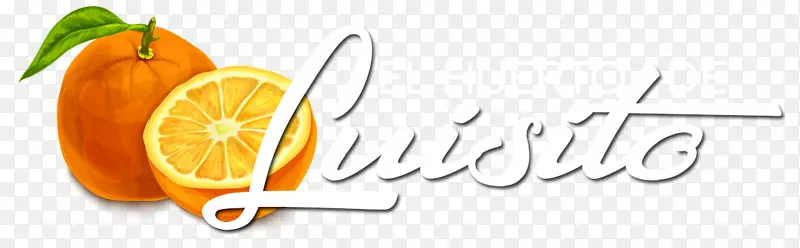 ��־Ʒ����ʳʳƷ-���-������