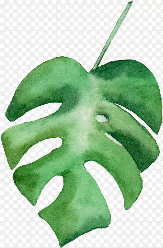 Ҷˮ�ʻ�.ˮ�ʻ�Ҷ-������