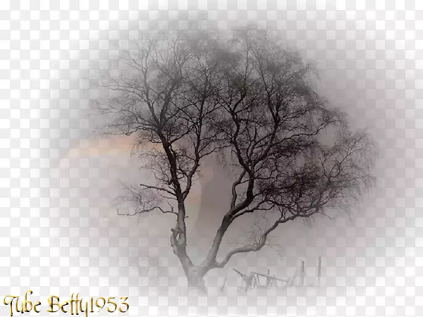 ���˲��������ֽ-Arriere�ƻ�-������