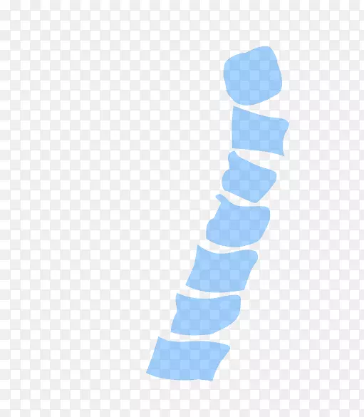 �ձ���ָ�������-������