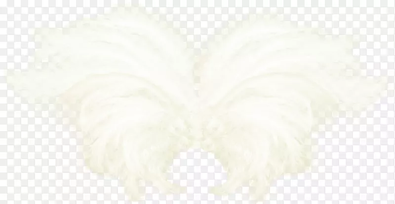 ��-Ư���ĳ��-������