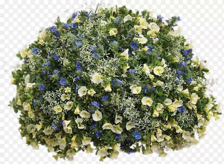 ������ƻ����л�����-������