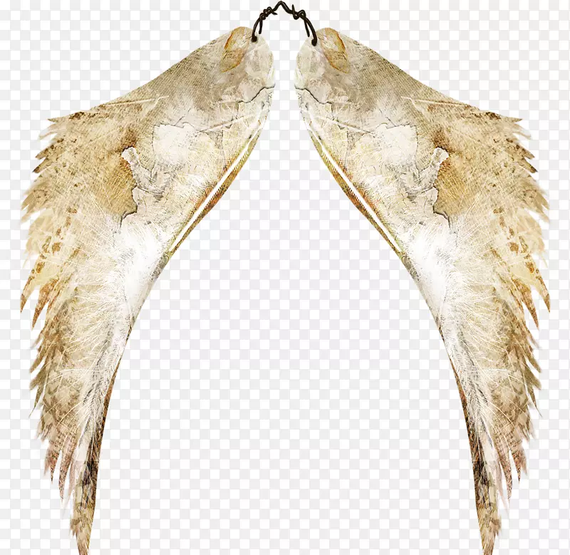 �滭������-�ٳ��-������