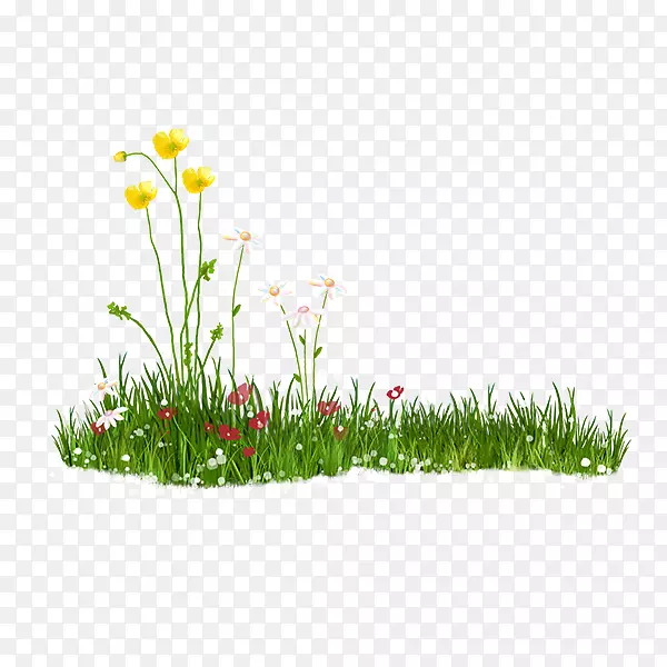 ��ƺ���ؼ�����-������