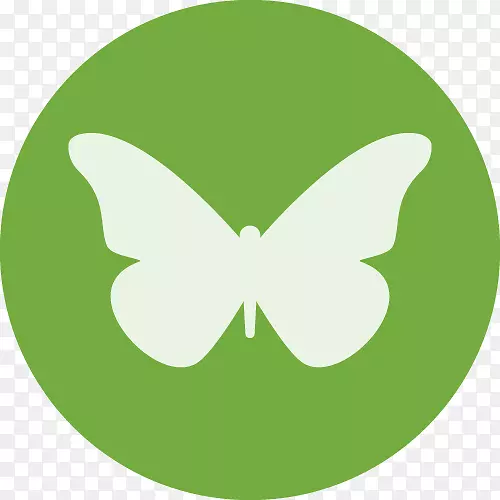 �����ʼ������������ĵ���ͼ��Gmail-�����ʼ�-������