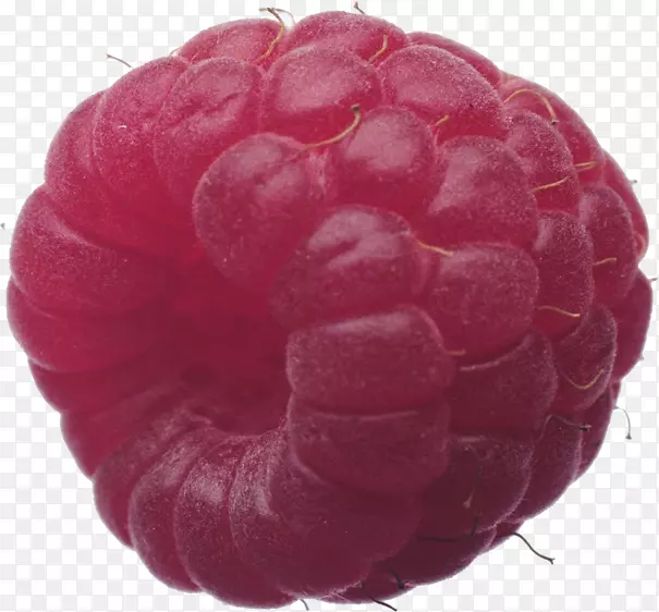 ��ɫ�����Ӽ�����-������-������