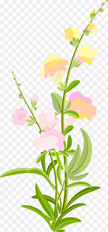 ��������л�����ֲ�ﾥ��-������