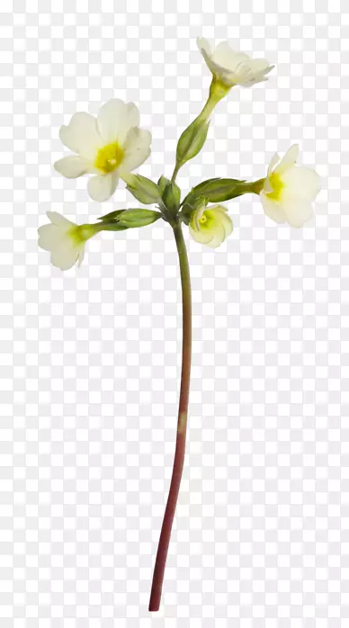 ���˲��͹�˾-��-������