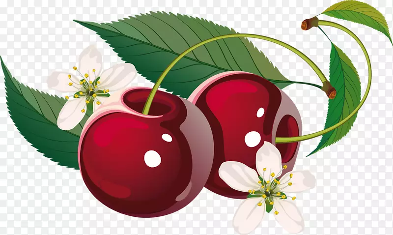 ��ӣ�Ҽ�����-ӣ��-������