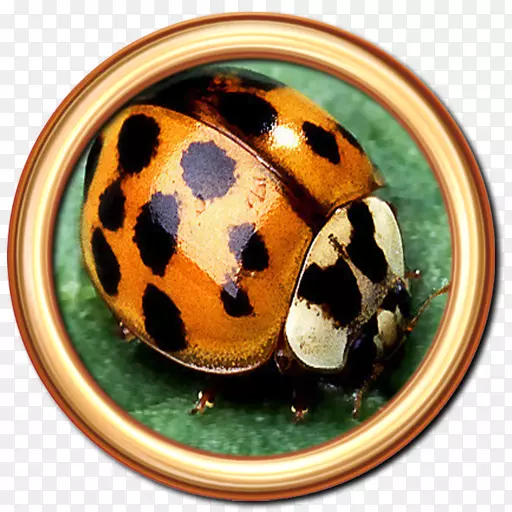 ����ư������ư���������׳�-������