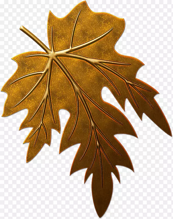 ��ֽ����-������