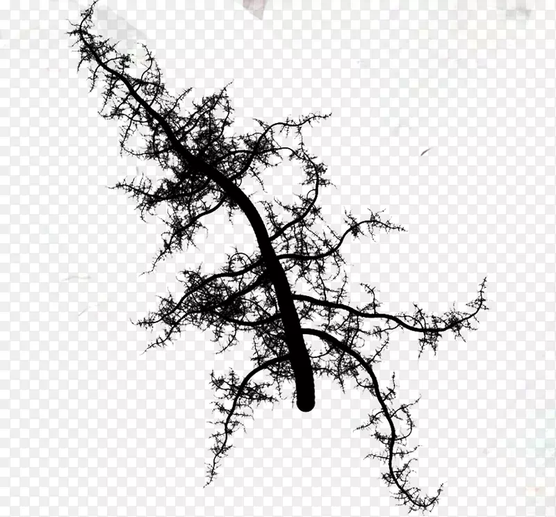 ��֯��ѧ��ģϵͳ/m/02csf-������