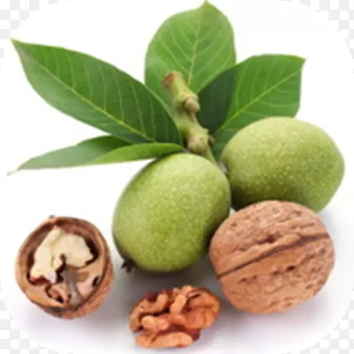 �����ں���Ӣ�����ҽ�������-������