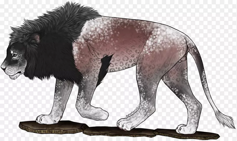 ʨ�Ӵ�è½������Ұ������-ʨ��-������