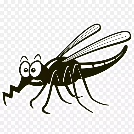 �����������������߿�ͨ����������-������