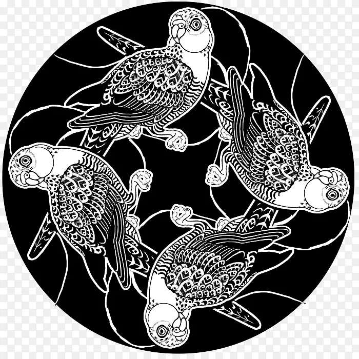 �Ӿ�����-��ɫ����-����-������