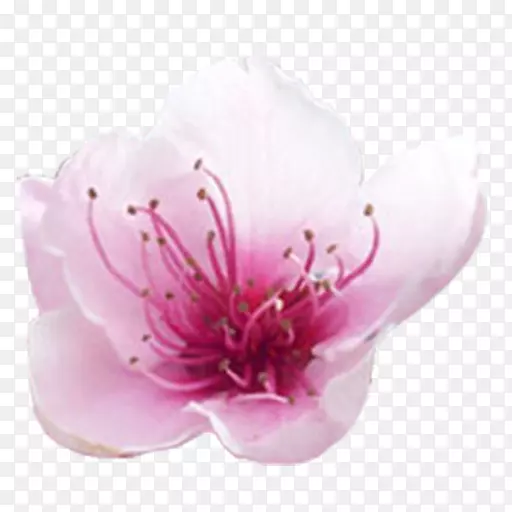 ��׿��?�ҦҦŦѦ��������ֽ���������-android-������