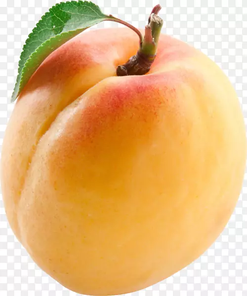 ��ľ��Ӱˮ��������-������