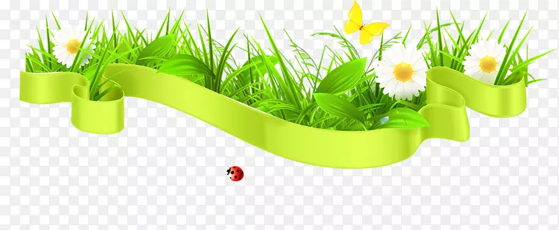 ��Ӱ��Ȼ����-������