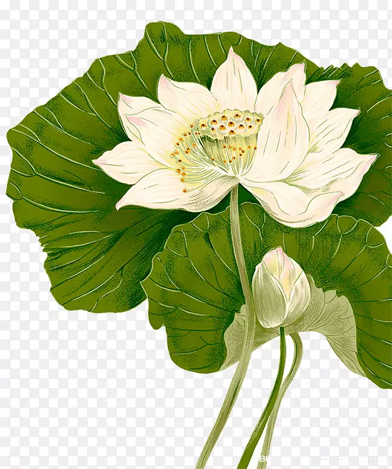 ����-������