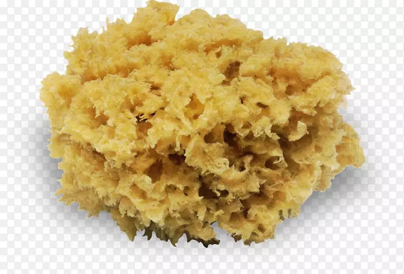 ��Ѫ�����ʼǱ����������-������